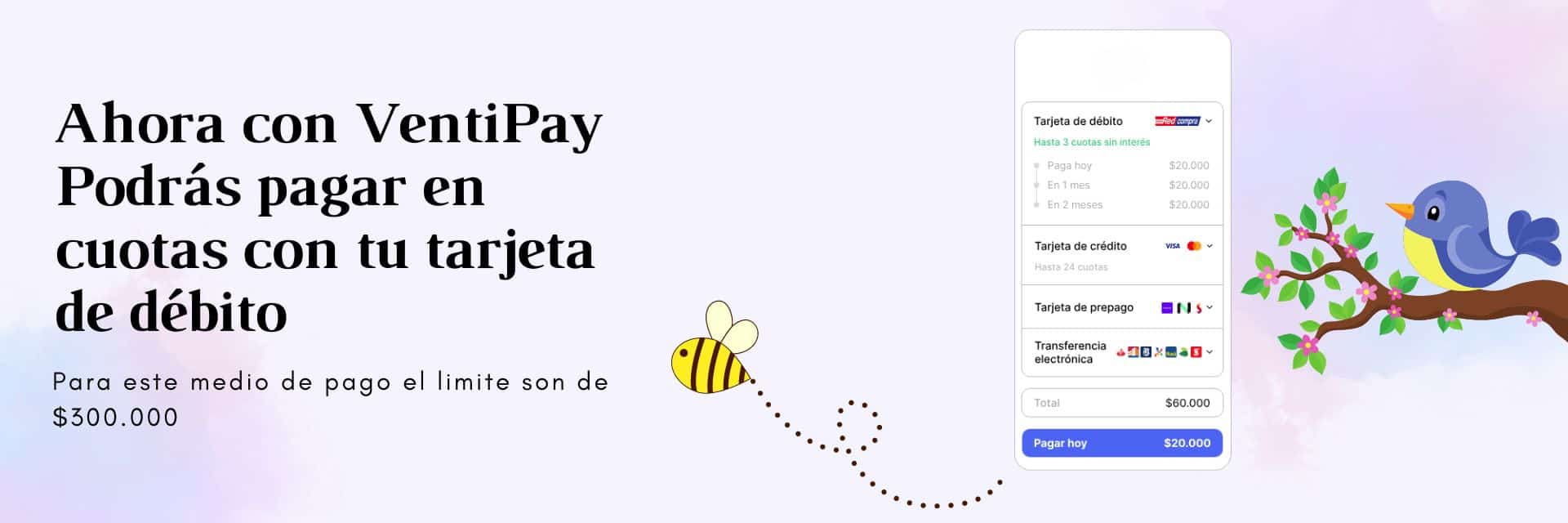 ventipay ventaskine verano