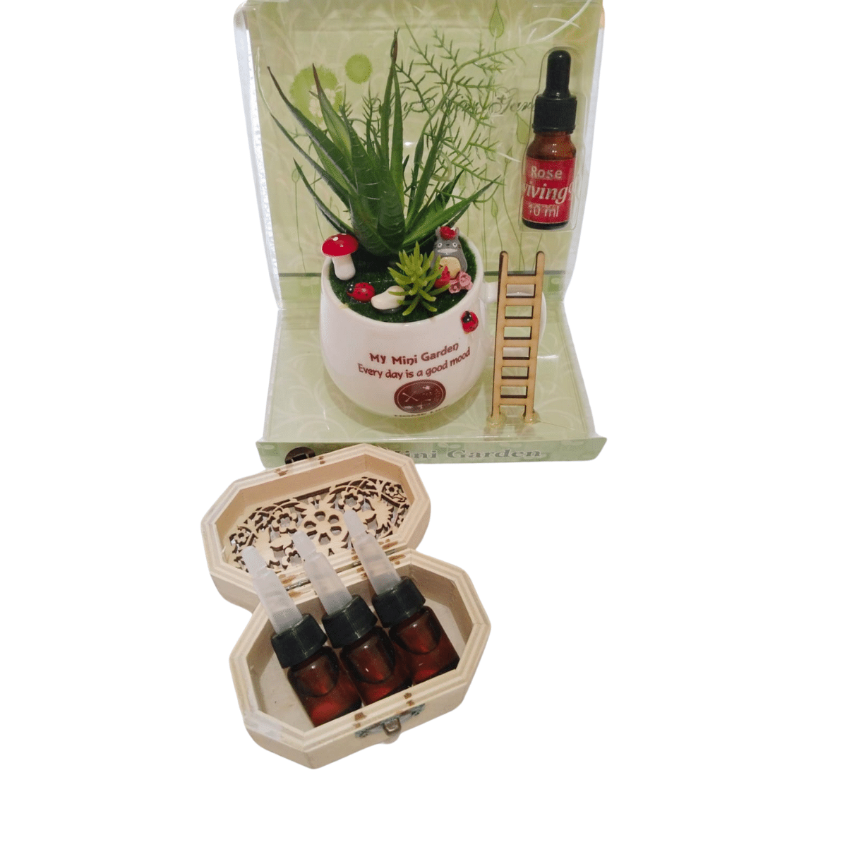Base productos (2) mini jardin decorativo + set aromaterapia - Imagen 1
